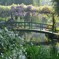Excursion to Giverny — Claude Monet’s Gardens
